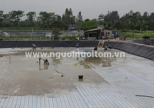 Tiêu chí xác định doanh nghiệp nông nghiệp ứng dụng công nghệ cao