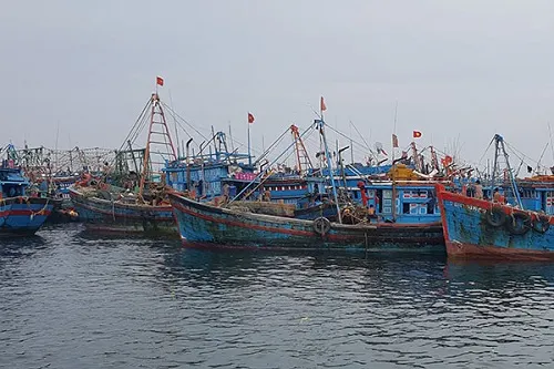 Một số điều ngư dân cần biết khi tham gia khai thác hải sản trên biển