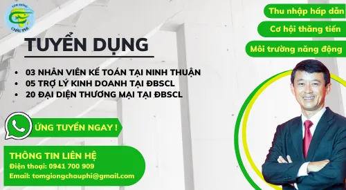 Công ty TNHH Tôm giống Châu Phi tuyển dụng