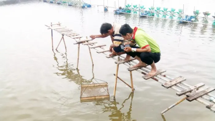 Vai trò của khoáng với sự phát triển của tôm