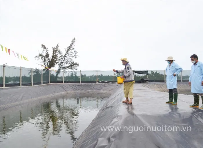 Thắng lớn với nuôi tôm khép kín