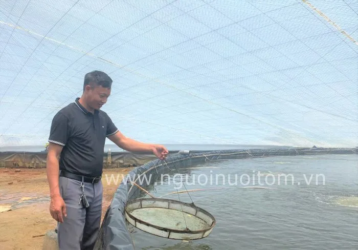 Anh Lê Đăng Vũ (Quảng Ninh): Thu nhập cao từ nuôi tôm bể nổi