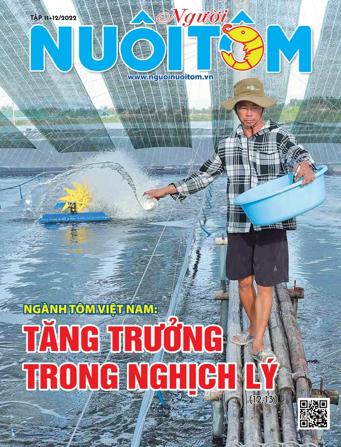 Bìa tạp chí tháng 11-12/2022