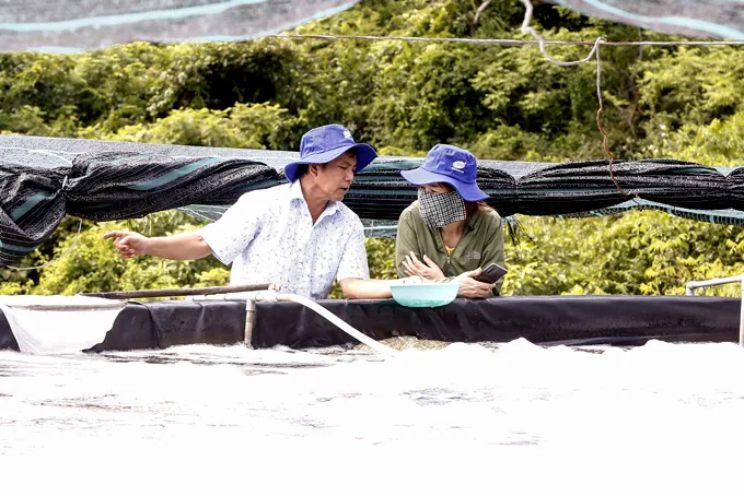 Chuyện nuôi tôm của ông “Chính Floc”