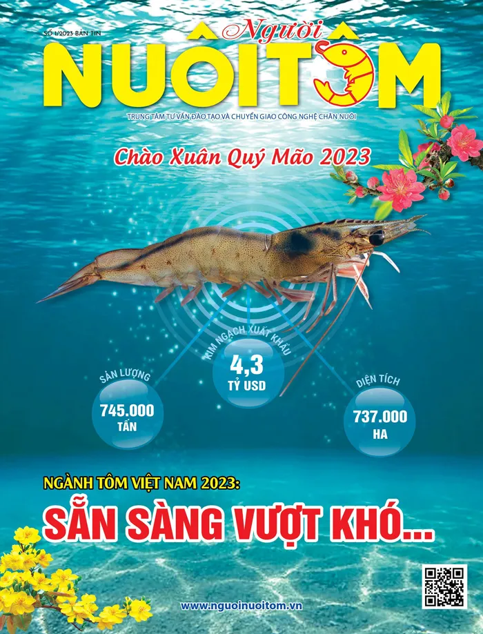 Bìa Tôm Xuân Quý Mão 2023