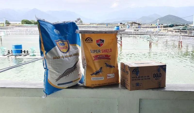 GROSHIELD: “Trợ thủ đắc lực” giúp tôm đề kháng vững vàng hàng ngày, sẵn sàng về đích
