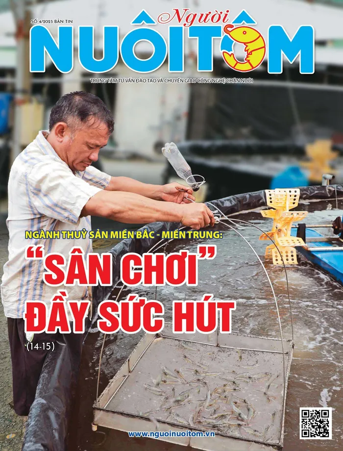 Bìa tôm tháng 4-2023