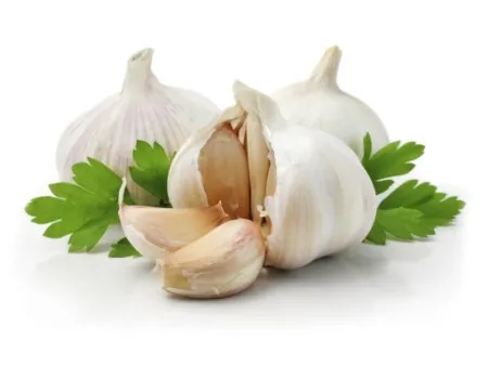 Tỏi lên men: Hỗ trợ phòng (EMS/AHPND) trên tôm thẻ chân trắng