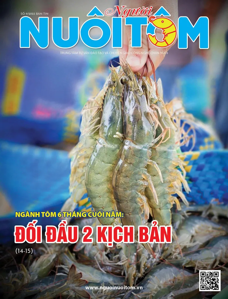 Bìa tôm tháng 8-2023