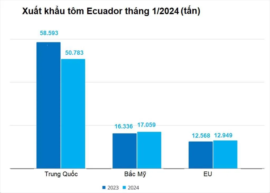 Ecuador: Xuất khẩu tôm giảm 6% trong tháng 1/2024