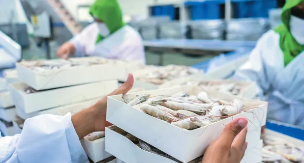 Tình hình nhập khẩu tôm từ các thị trường lớn trên thế giới