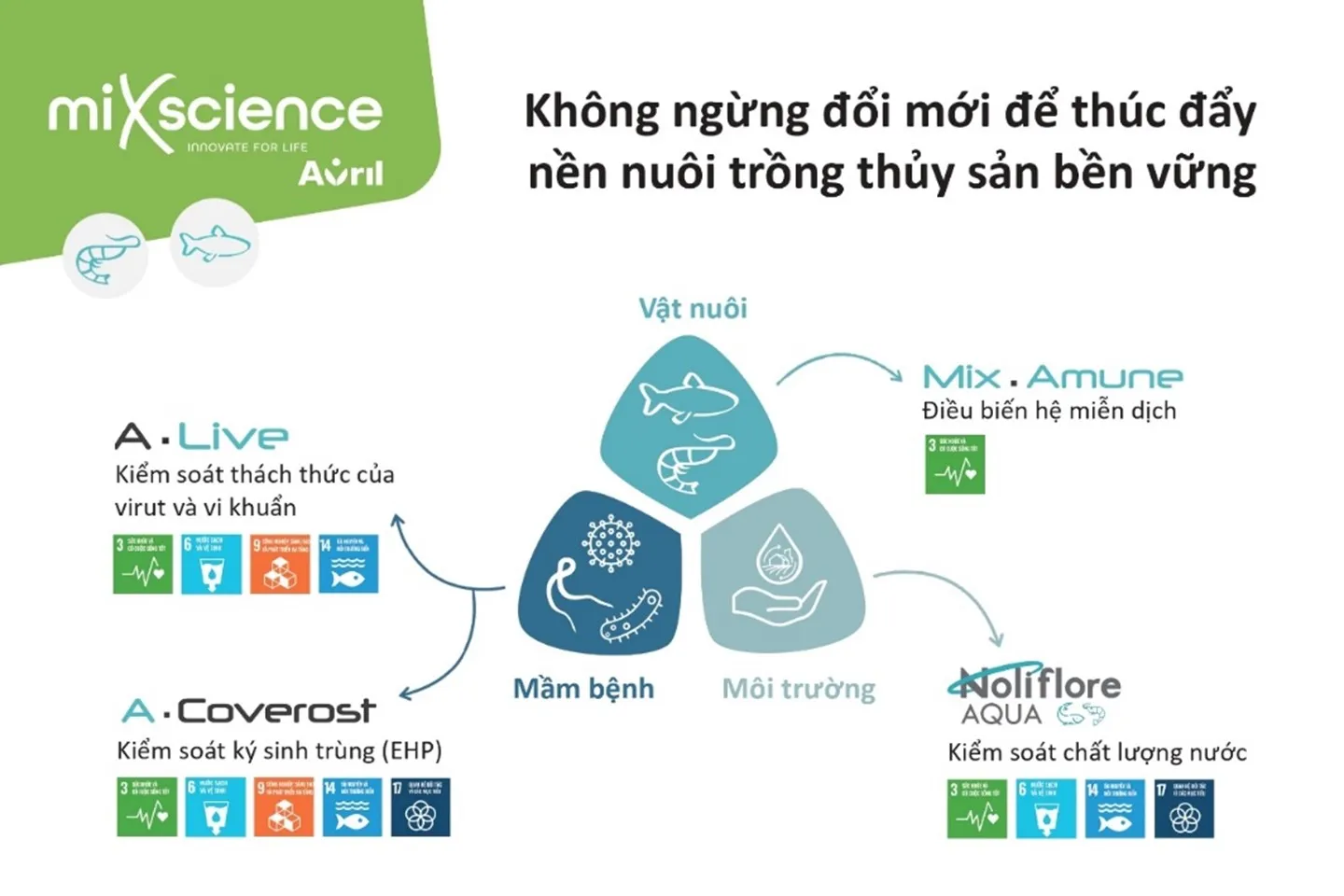 Bền vững trong nuôi trồng thủy sản: Thách thức & đổi mới