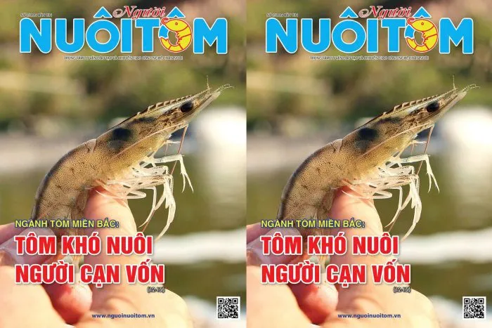 Đón đọc Tạp chí Người Nuôi Tôm số tháng 11/2024