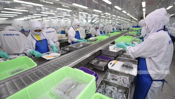 Tháo gỡ điểm nghẽn gây khó khăn cho doanh nghiệp thủy sản
