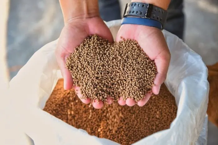 Trung Quốc: Chấm dứt miễn thuế bột cá và tôm giống từ Hoa Kỳ