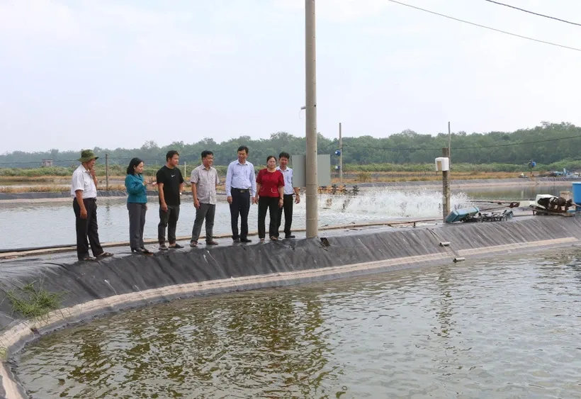 Khuyến nghị phòng bệnh cho tôm nuôi khi nắng nóng mưa xen kẽ