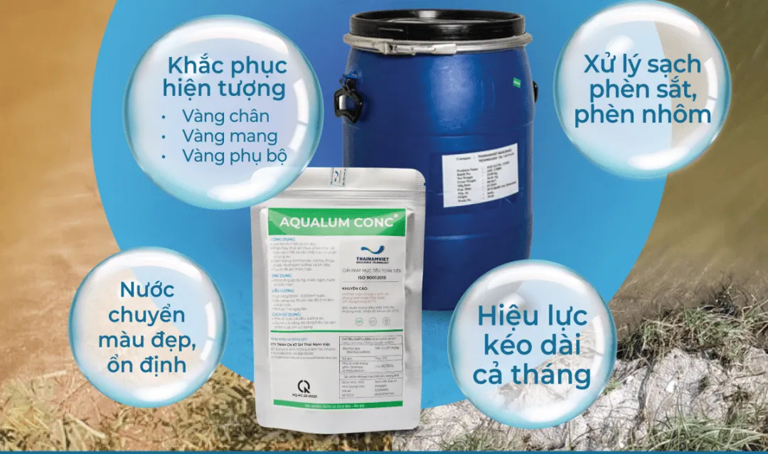 Giải pháp cắt phèn triệt để trong ao nuôi