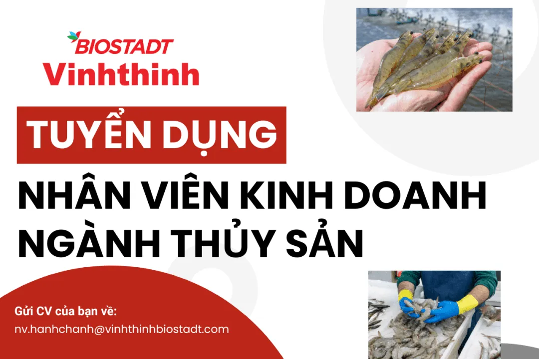Vinhthinh Biostadt tuyển dụng nhân viên kinh doanh ngành thủy sản