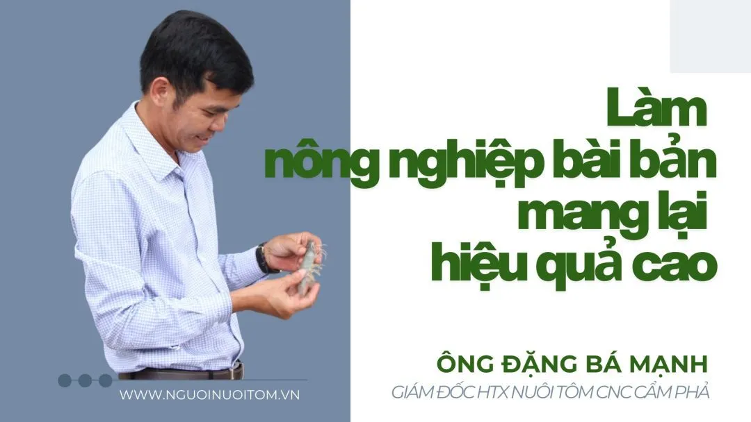Ông Đặng Bá Mạnh – Giám đốc HTX nuôi tôm CNC Cẩm Phả: Làm nông nghiệp bài bản thì hiệu quả sẽ cao