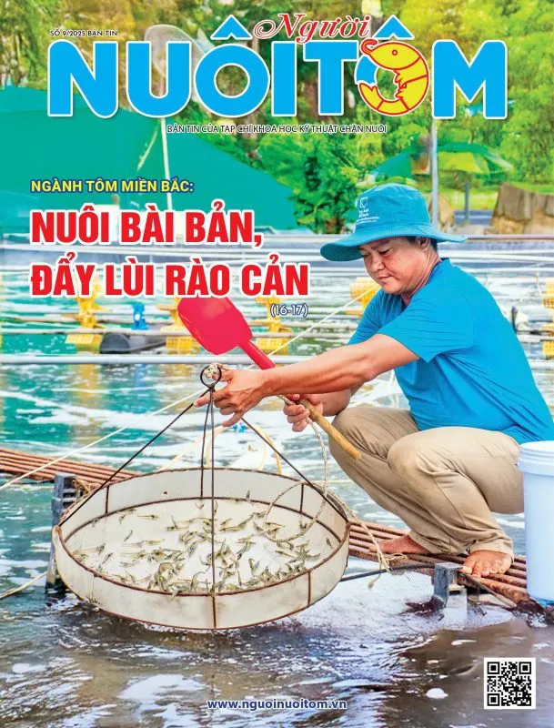 CÁC ẤN PHẨM ĐÃ XUẤT BẢN