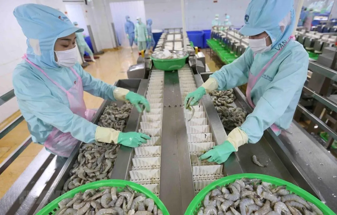 Xu hướng nhập khẩu tôm của các thị trường lớn