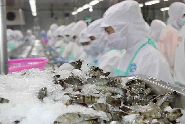 Xuất khẩu tôm Việt Nam “bùng nổ” tại thị trường châu Á