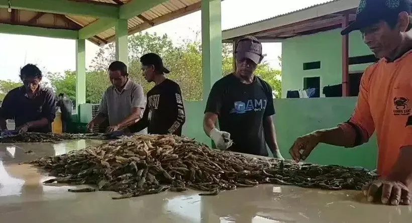 Indonesia khẳng định tôm xuất khẩu sang Mỹ an toàn trước lo ngại về phóng xạ