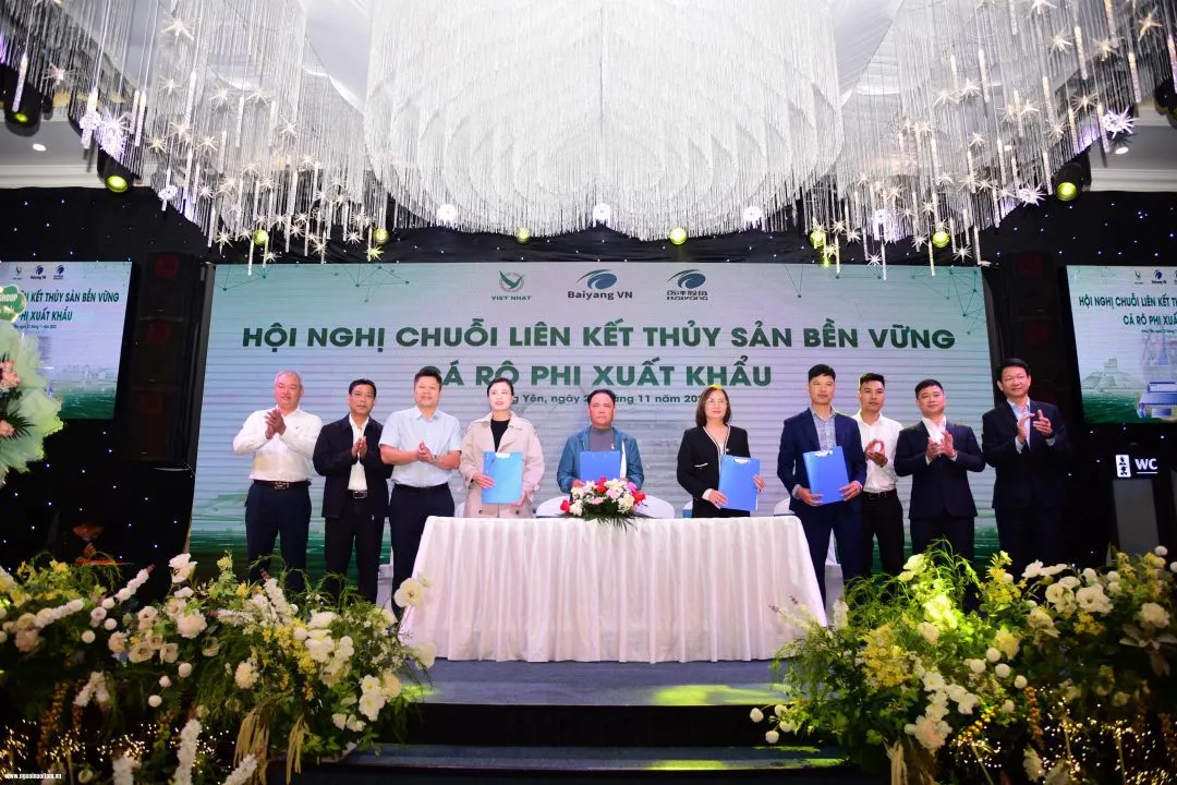 “Cú hích” phát triển chuỗi liên kết cá rô phi xuất khẩu