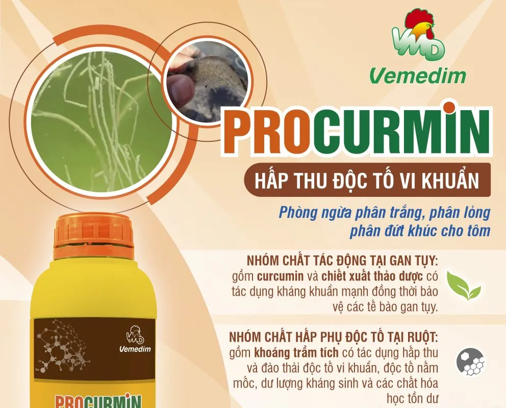 Giải pháp hỗ trợ hấp thu và đào thải độc tố cho tôm nuôi