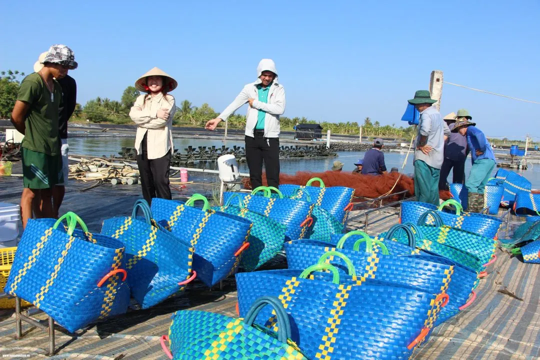 Giá tôm thẻ tại Đồng bằng sông Cửu Long ngày 25/05: Giảm nhẹ khi vào chính vụ
