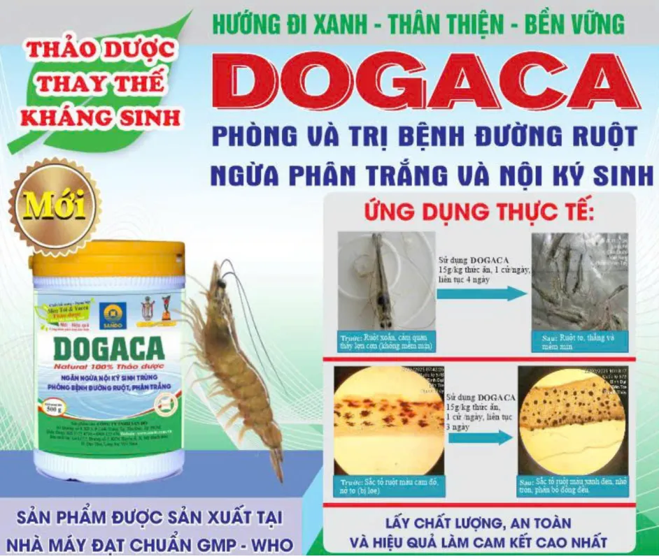 DOGACA – Giải pháp thảo dược giúp đường ruột tôm khỏe, giảm phụ thuộc kháng sinh